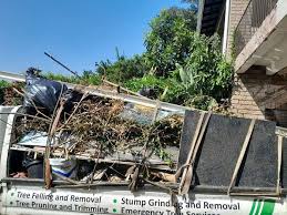 Trusted Edinburgh, IN Junk Removal Services Experts